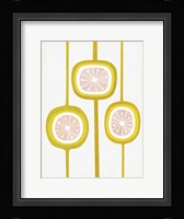 Paloma II Framed Print