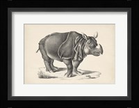 Rhinoceros Fine Art Print