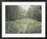 Virginia Forest I Fine Art Print