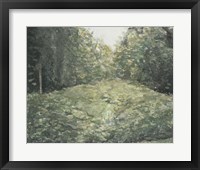 Virginia Forest I Fine Art Print