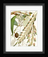 Tropical Variety I Fine Art Print