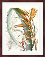 Tropical Variety III Fine Art Print
