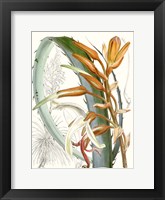 Tropical Variety III Fine Art Print