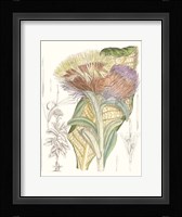 Tropical Variety IX Framed Print