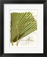 Palm Melange I Fine Art Print