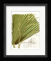 Palm Melange I Framed Print
