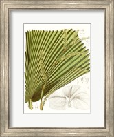 Palm Melange I Fine Art Print