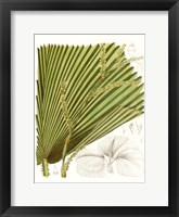 Palm Melange I Framed Print