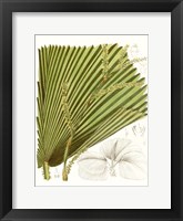 Palm Melange I Framed Print