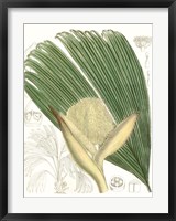 Palm Melange II Fine Art Print