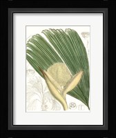 Palm Melange II Framed Print