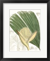 Palm Melange II Framed Print