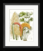 Palm Melange IV Framed Print