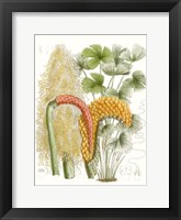 Palm Melange IV Framed Print
