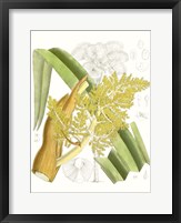 Palm Melange V Fine Art Print