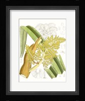 Palm Melange V Framed Print