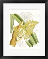 Palm Melange V Framed Print