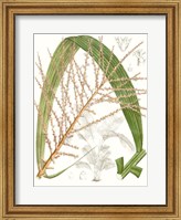 Palm Melange VII Fine Art Print