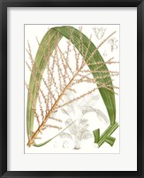 Palm Melange VII Fine Art Print