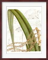 Palm Melange VIII Fine Art Print