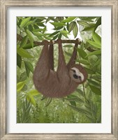 Sloth Hanging Around Fine Art Print