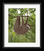 Sloth Hanging Around Fine Art Print