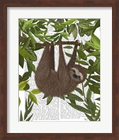 Sloth Hanging Around Fine Art Print