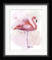 Fluffy Flamingo 2 Framed Print
