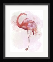 Fluffy Flamingo 3 Framed Print