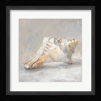 Impressionist Shell Study I Framed Print