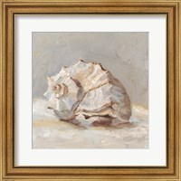 Impressionist Shell Study II Fine Art Print