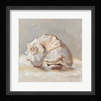 Impressionist Shell Study II Framed Print