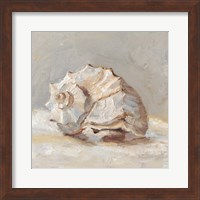 Impressionist Shell Study II Fine Art Print