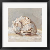 Impressionist Shell Study II Framed Print