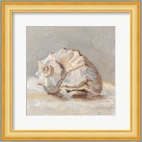 Impressionist Shell Study II Fine Art Print