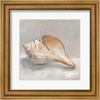 Impressionist Shell Study III Fine Art Print