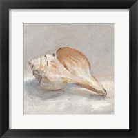 Impressionist Shell Study III Fine Art Print