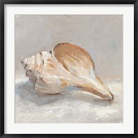 Impressionist Shell Study III Fine Art Print