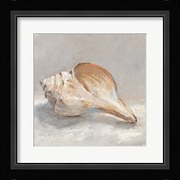 Impressionist Shell Study III Framed Print