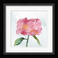 Joyful Peony IV Framed Print