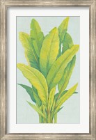 Chartreuse Tropical Foliage I Fine Art Print