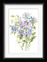 Columbine Spray II Framed Print