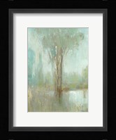 Mist in the Glen I Framed Print