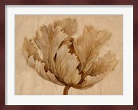 Sepia Tulip on Birch I Fine Art Print