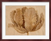 Sepia Tulip on Birch II Fine Art Print