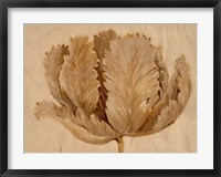Sepia Tulip on Birch II Fine Art Print