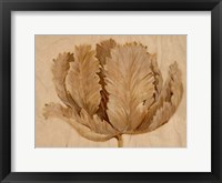 Sepia Tulip on Birch II Framed Print