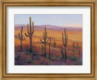 Desert Light I Fine Art Print