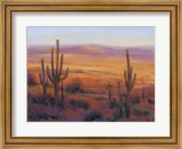 Desert Light II Fine Art Print