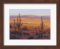 Desert Light II Fine Art Print